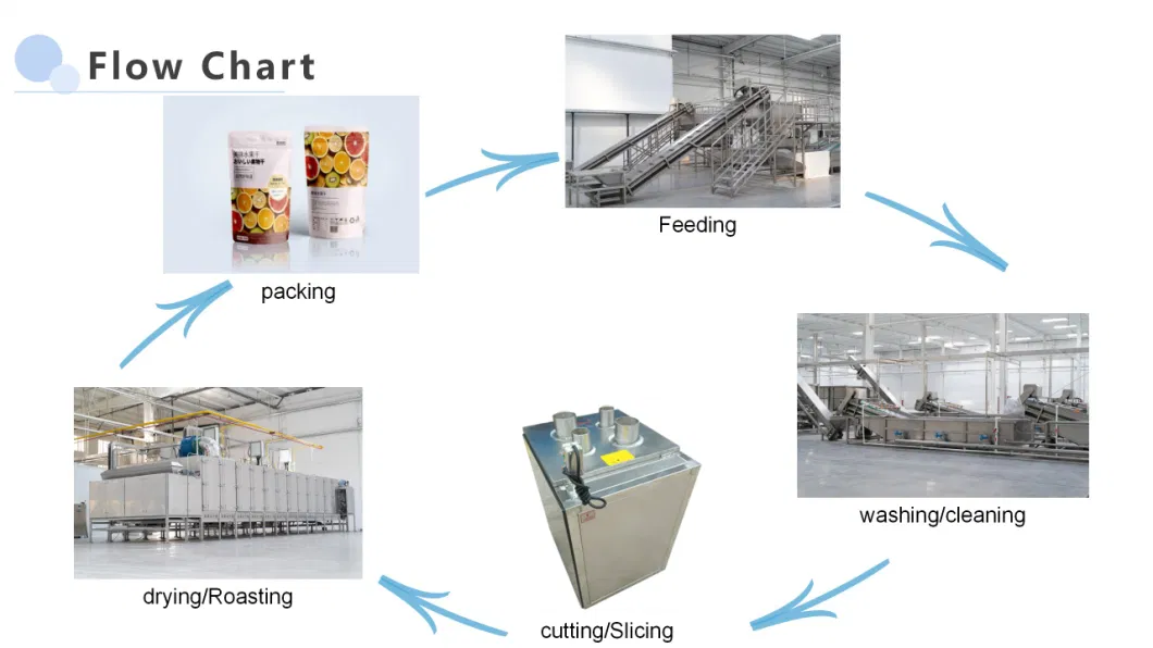 Mulberry Drying Roasting Sterilization Equipment